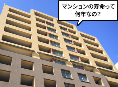 [画像]