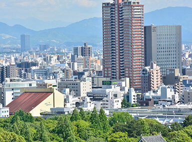 [画像]