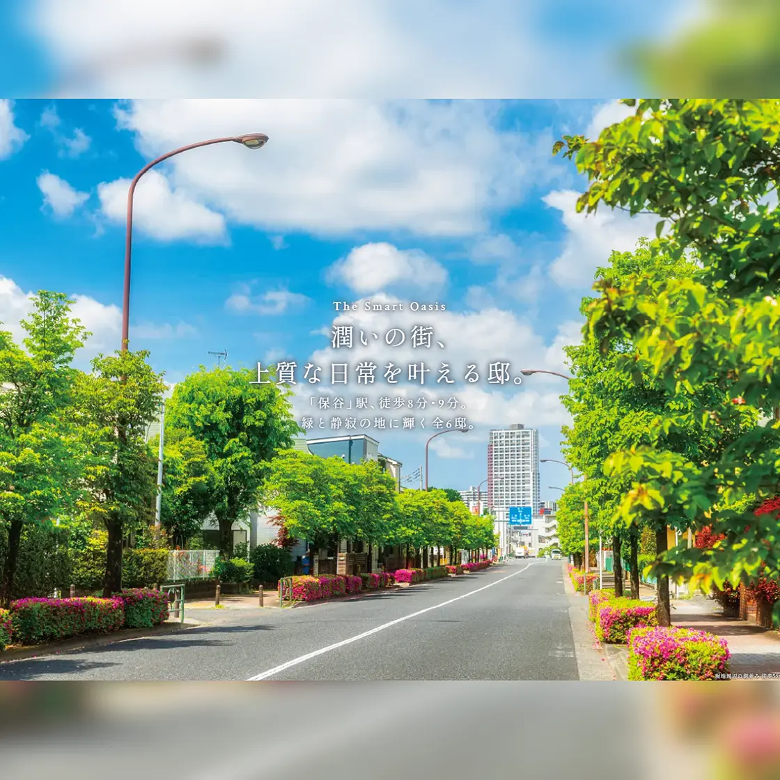[画像]